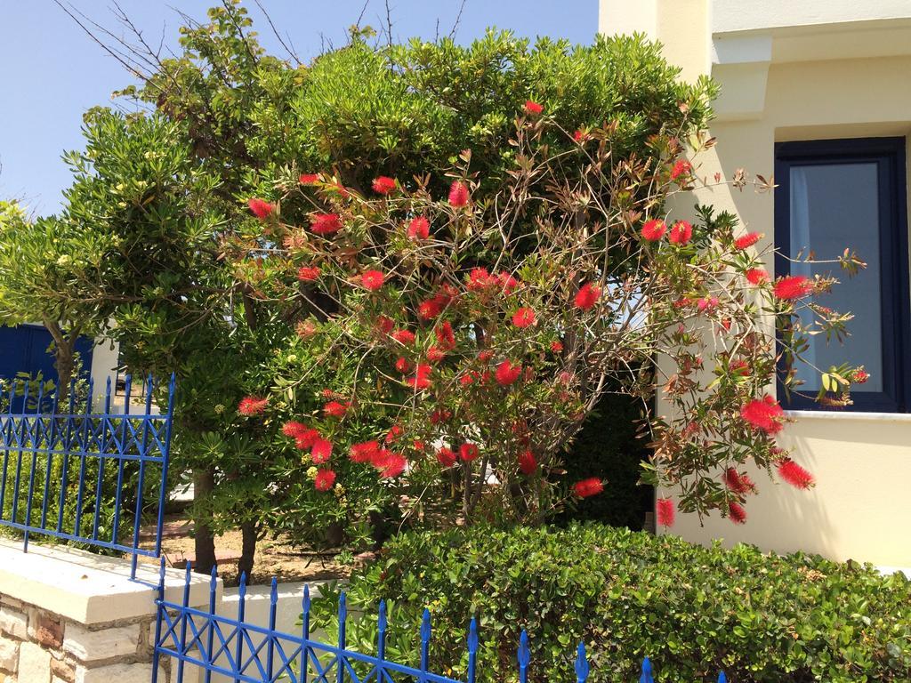 Sea Breeze Apartments Chios Monolia Eksteriør bilde